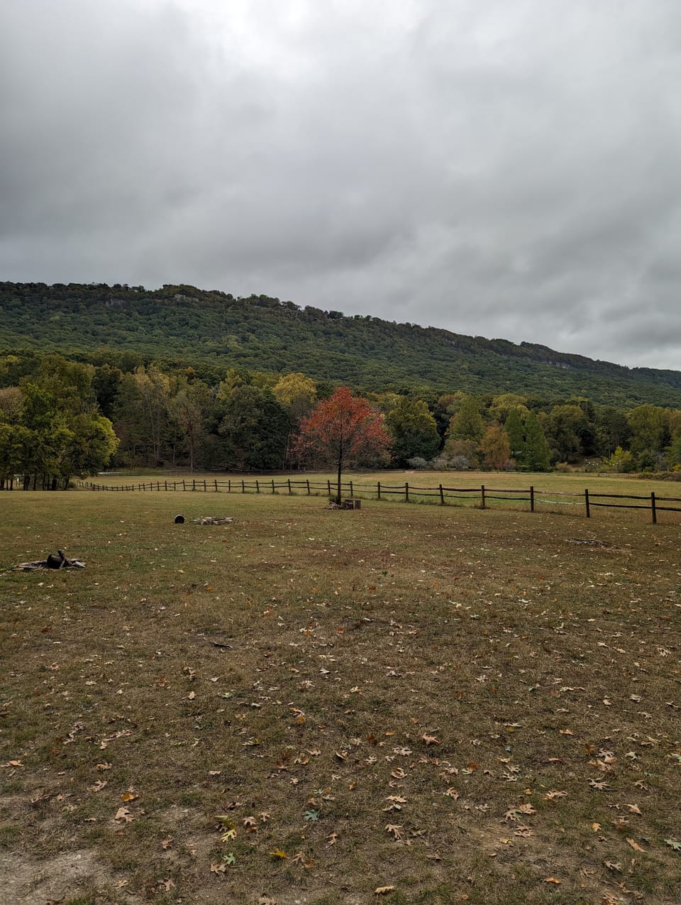 Monday Meditations - Gratitude